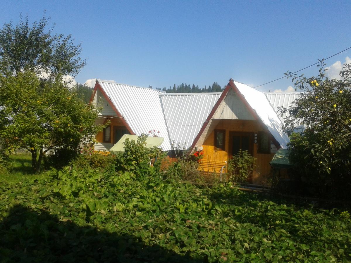 Casa Florea Poiana Stampei Екстер'єр фото