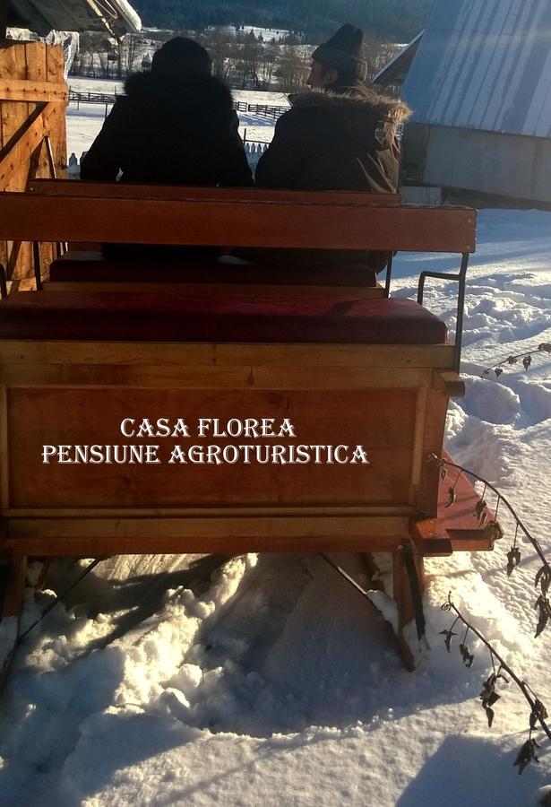 Casa Florea Poiana Stampei Екстер'єр фото