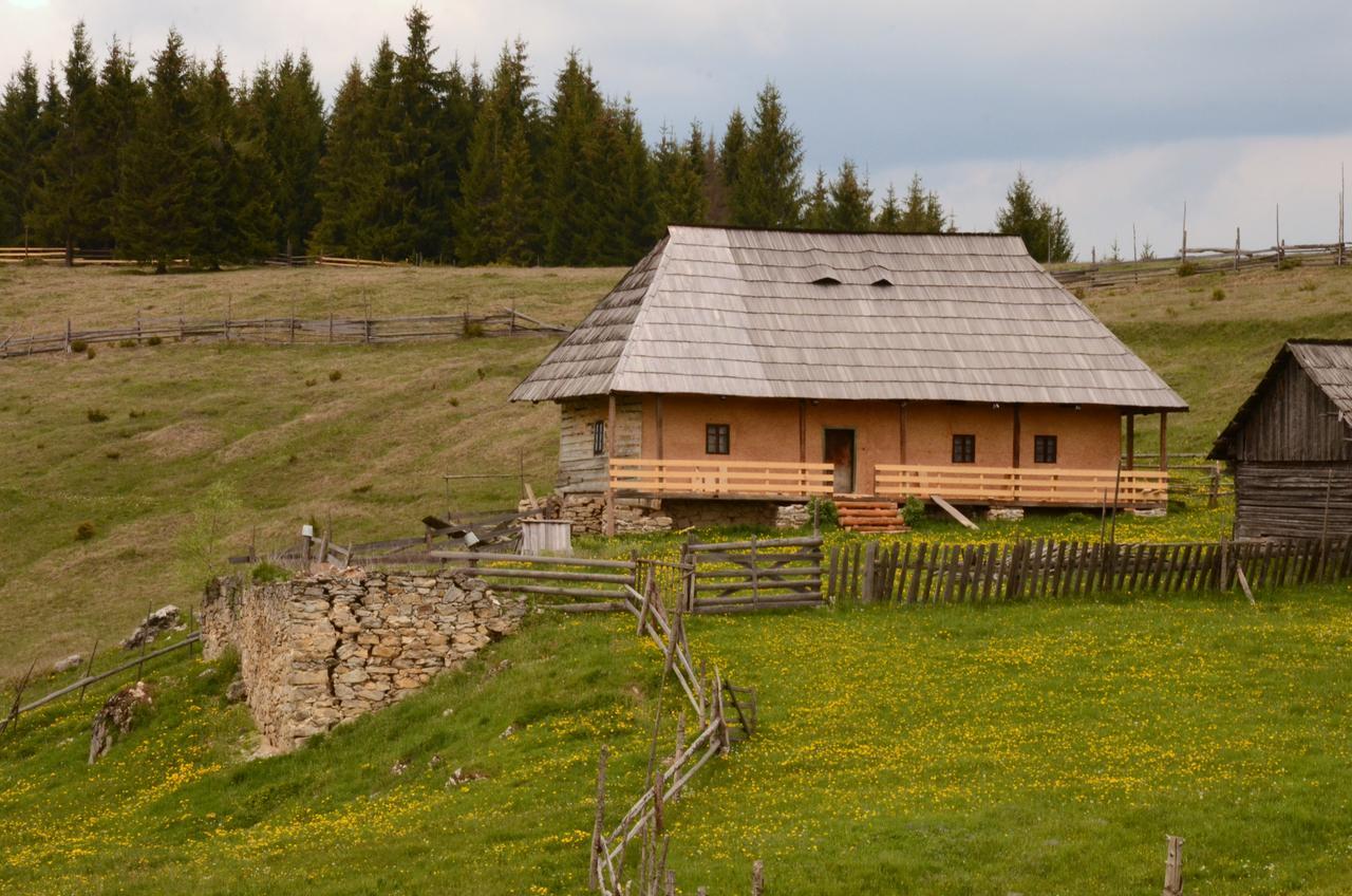 Casa Florea Poiana Stampei Екстер'єр фото